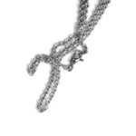 Roll Chain